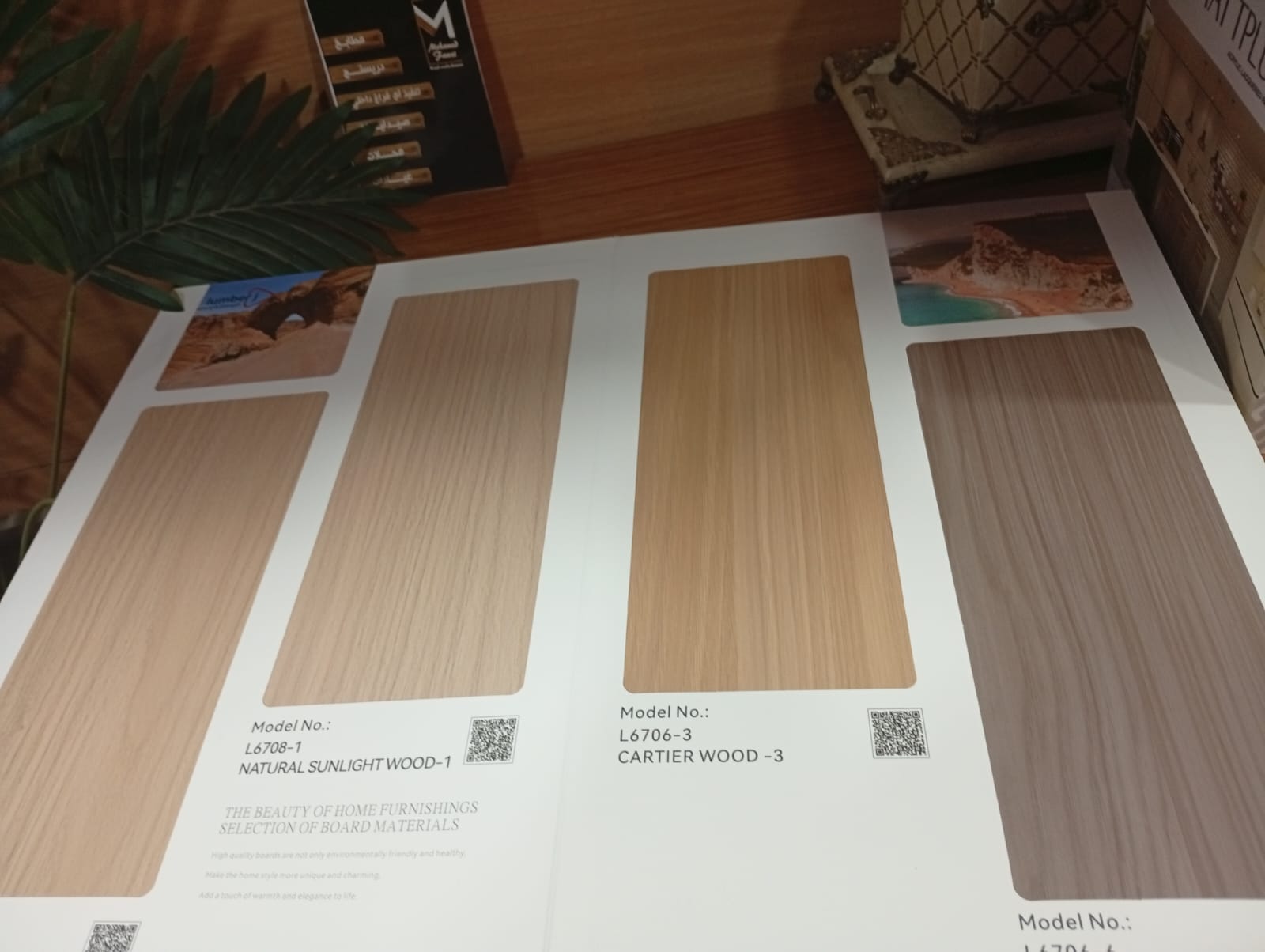 WhatsApp Image 2026-01-08 at 10.44.55 PM (2)