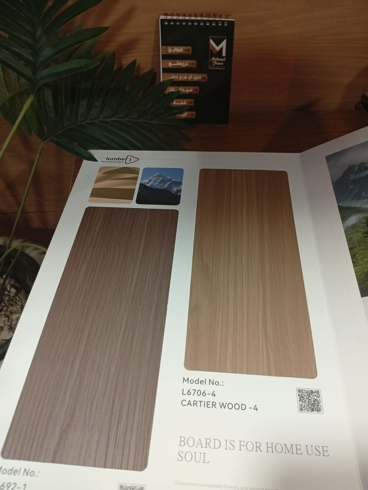 WhatsApp Image 2026-01-08 at 10.44.56 PM