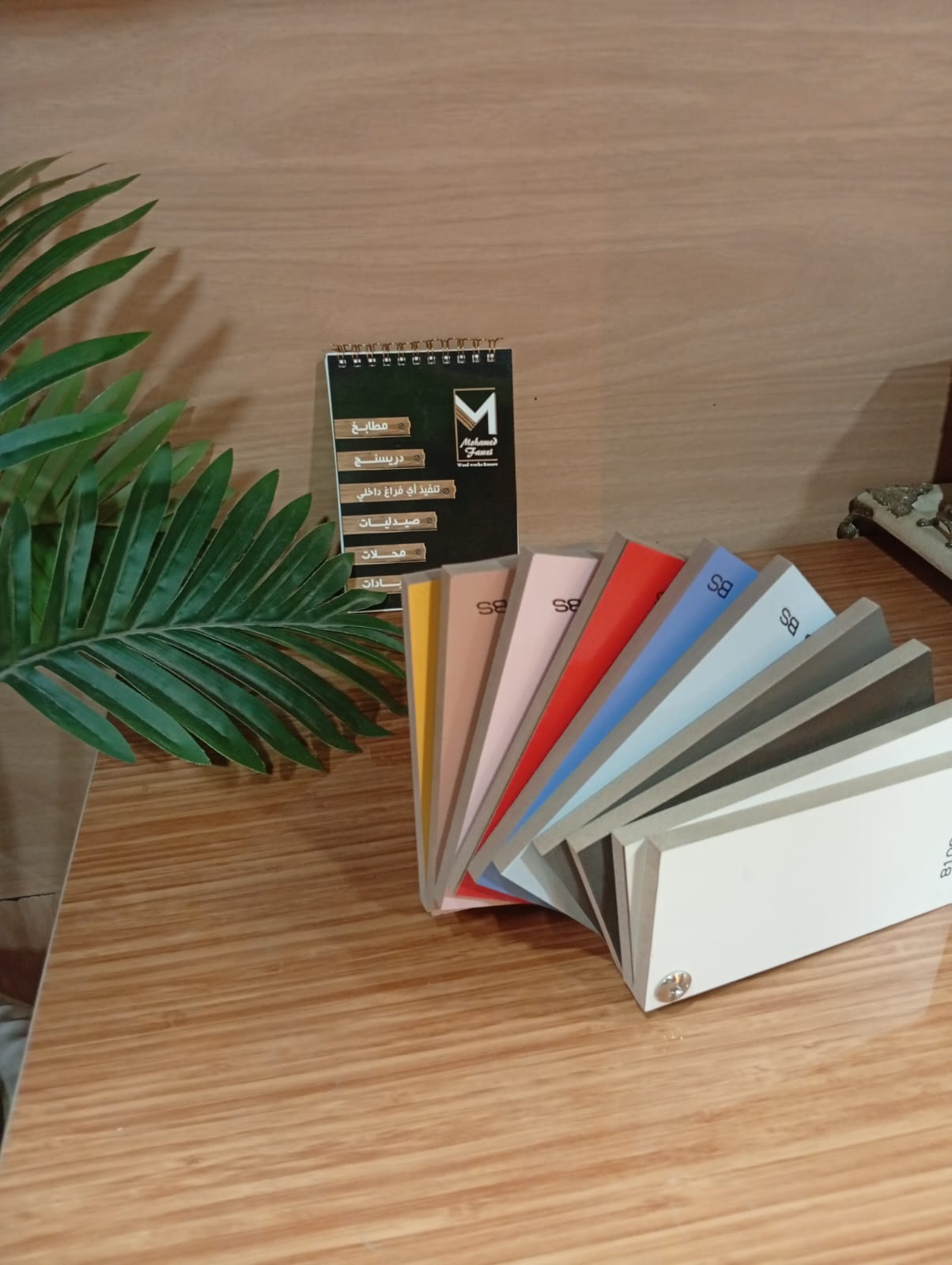 WhatsApp Image 2026-01-08 at 10.49.47 PM